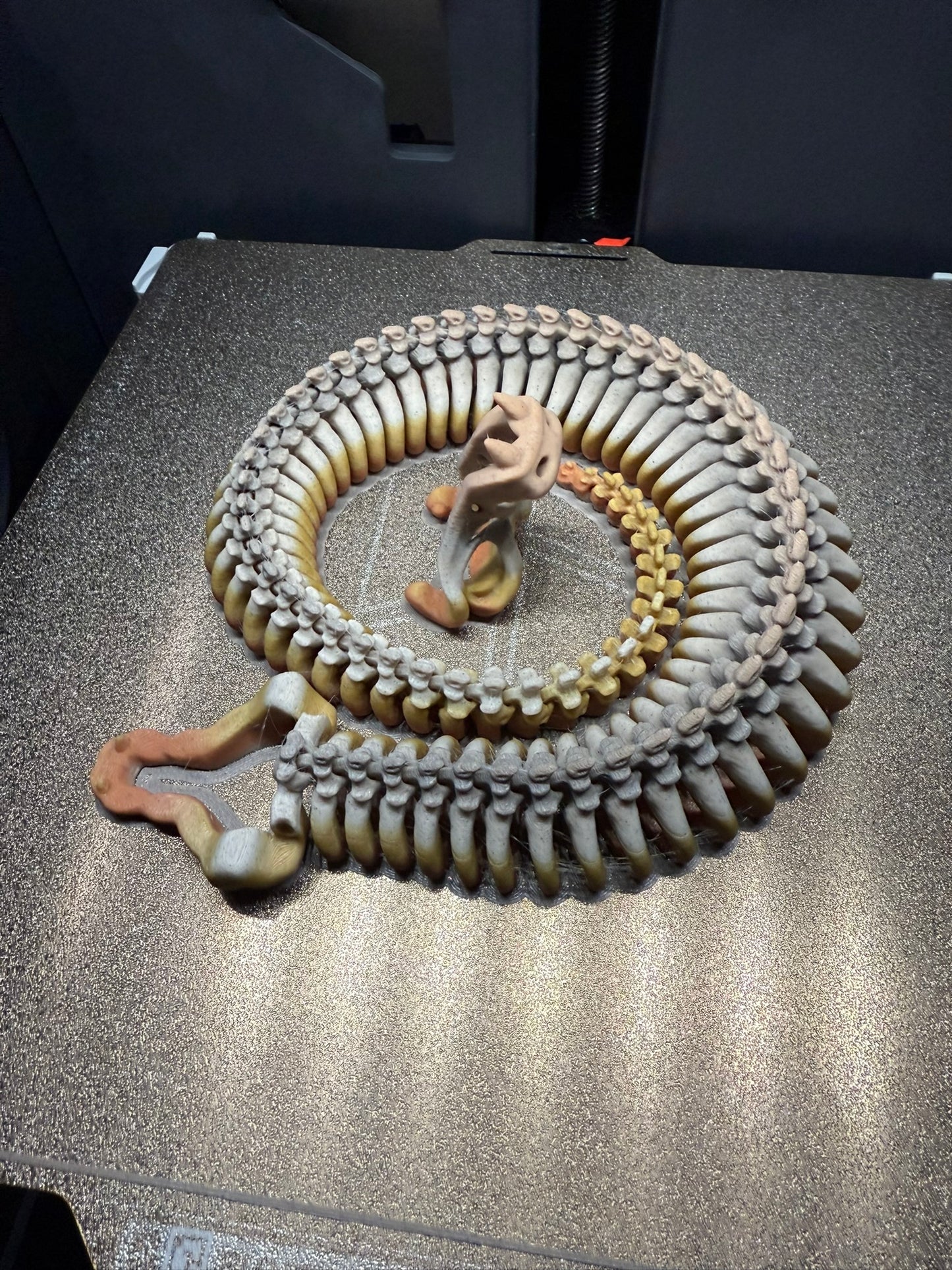 Skeleton Snake