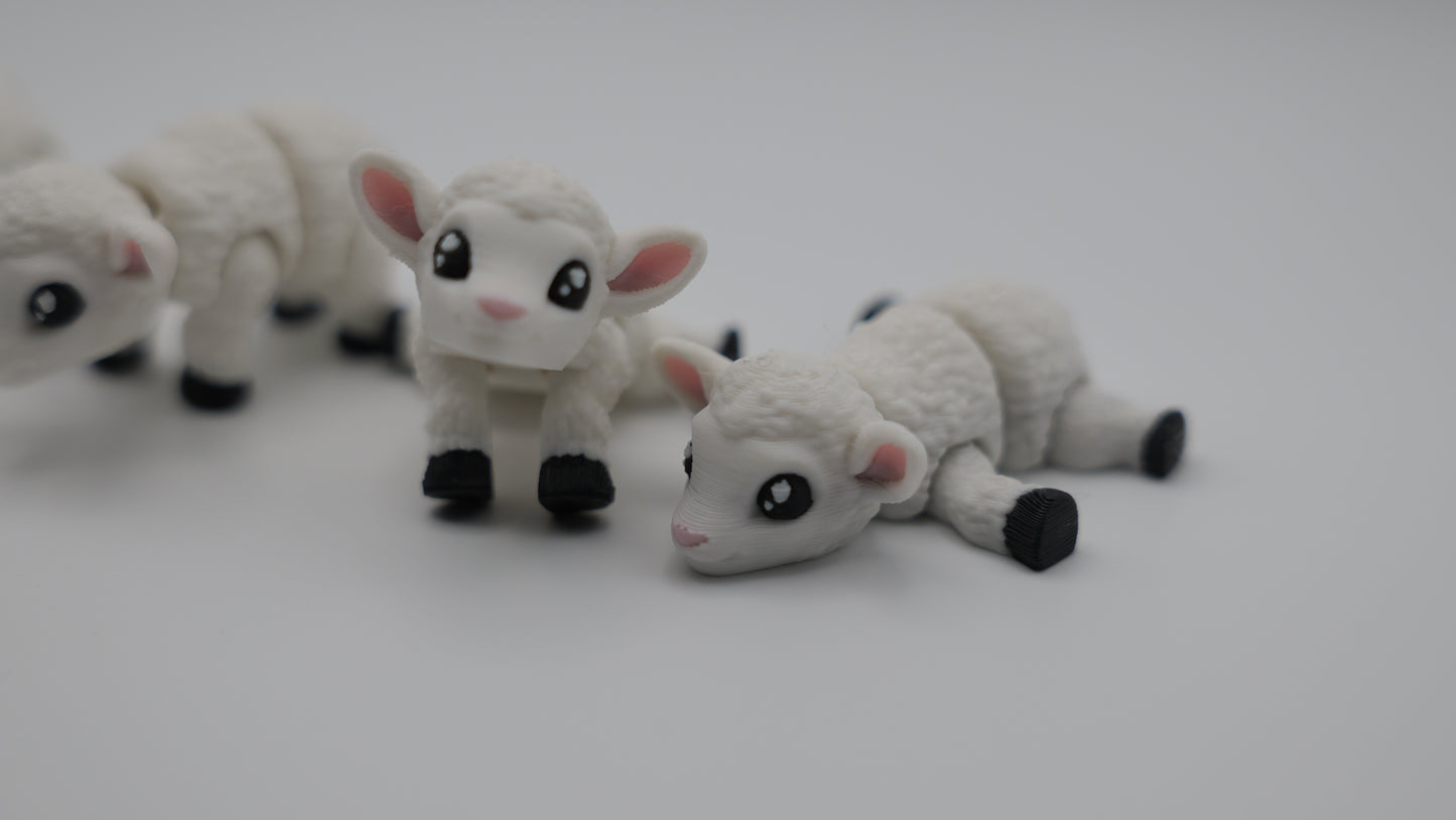 Mini Lamb