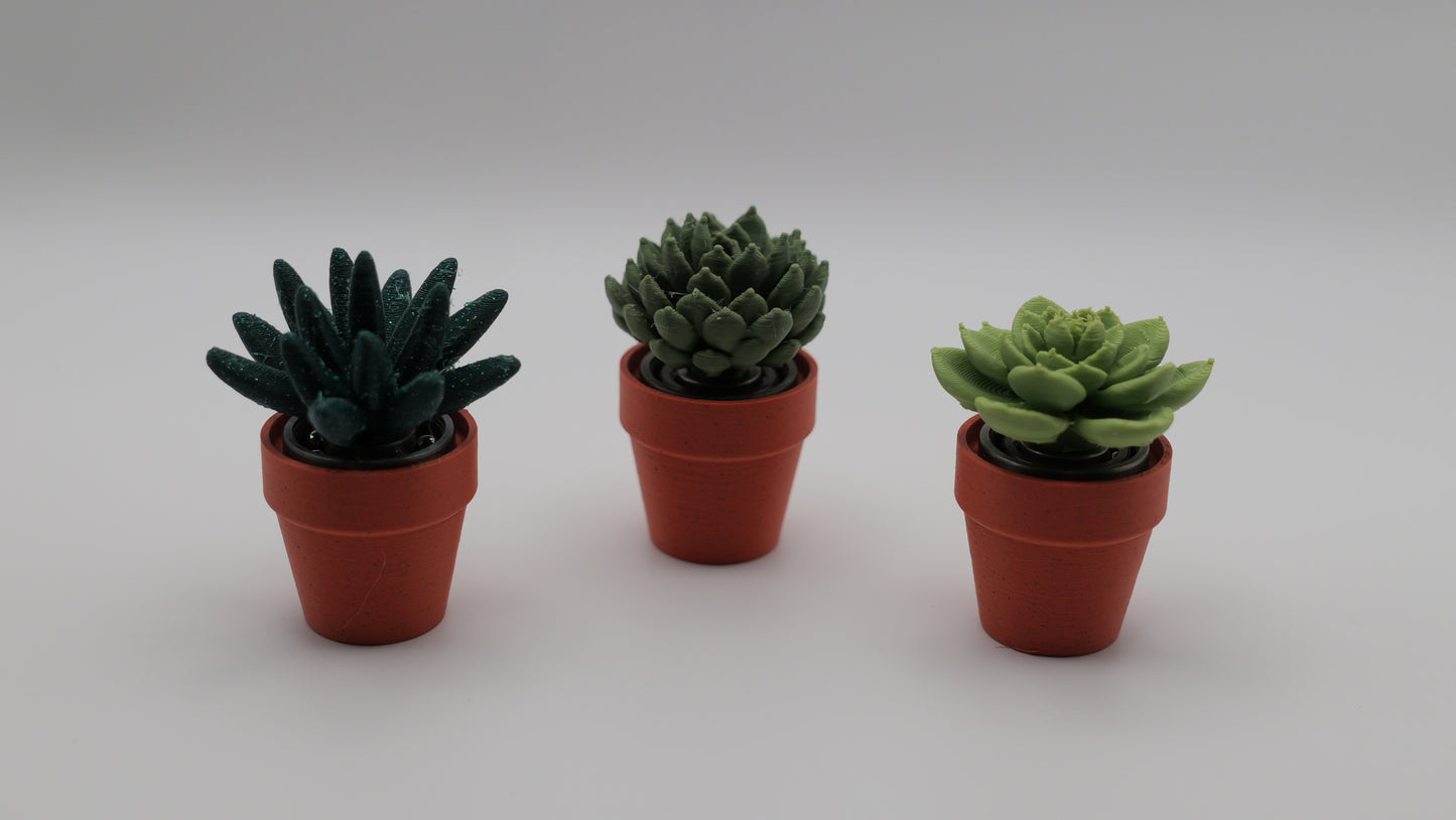 Succulent Spinners