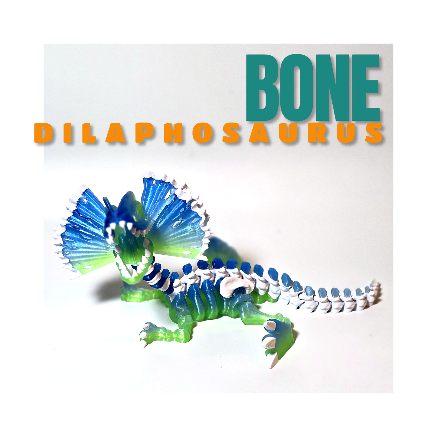 Bone Dilophosaurus