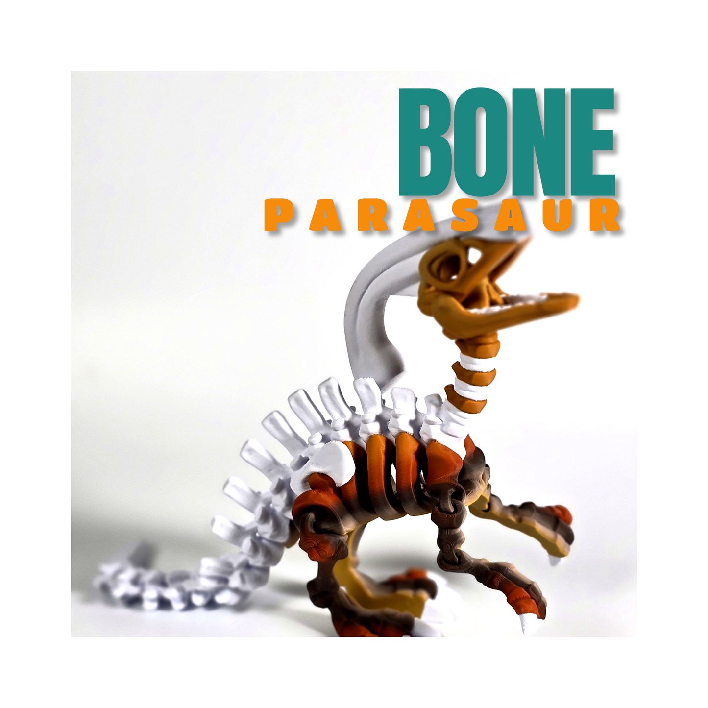 Bone Parasaurolophus