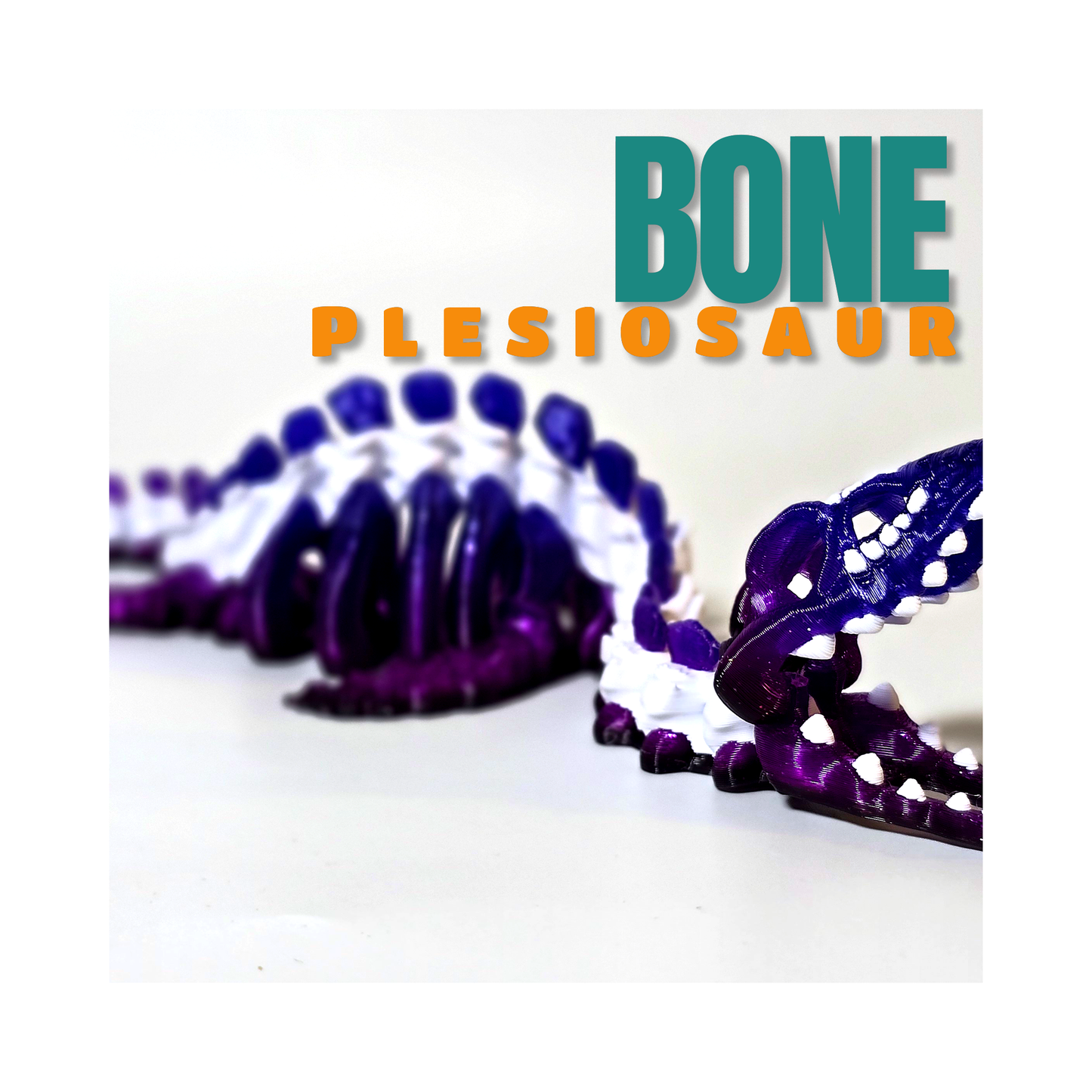 Bone Plesiosaurus