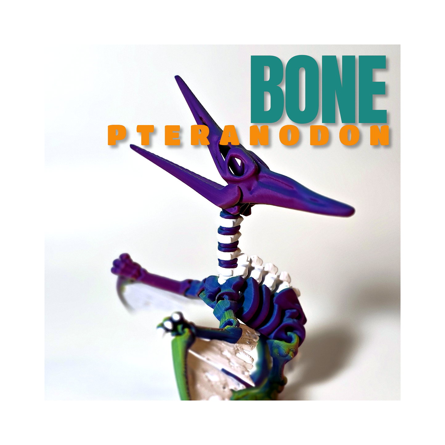 Bone Pteranodon