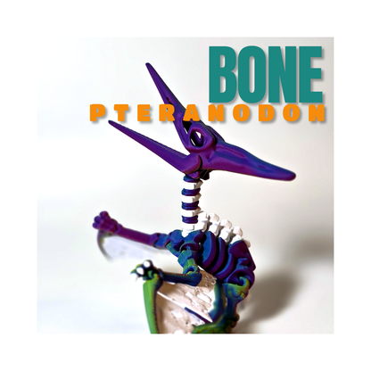 Bone Pteranodon