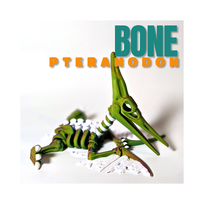 Bone Pteranodon
