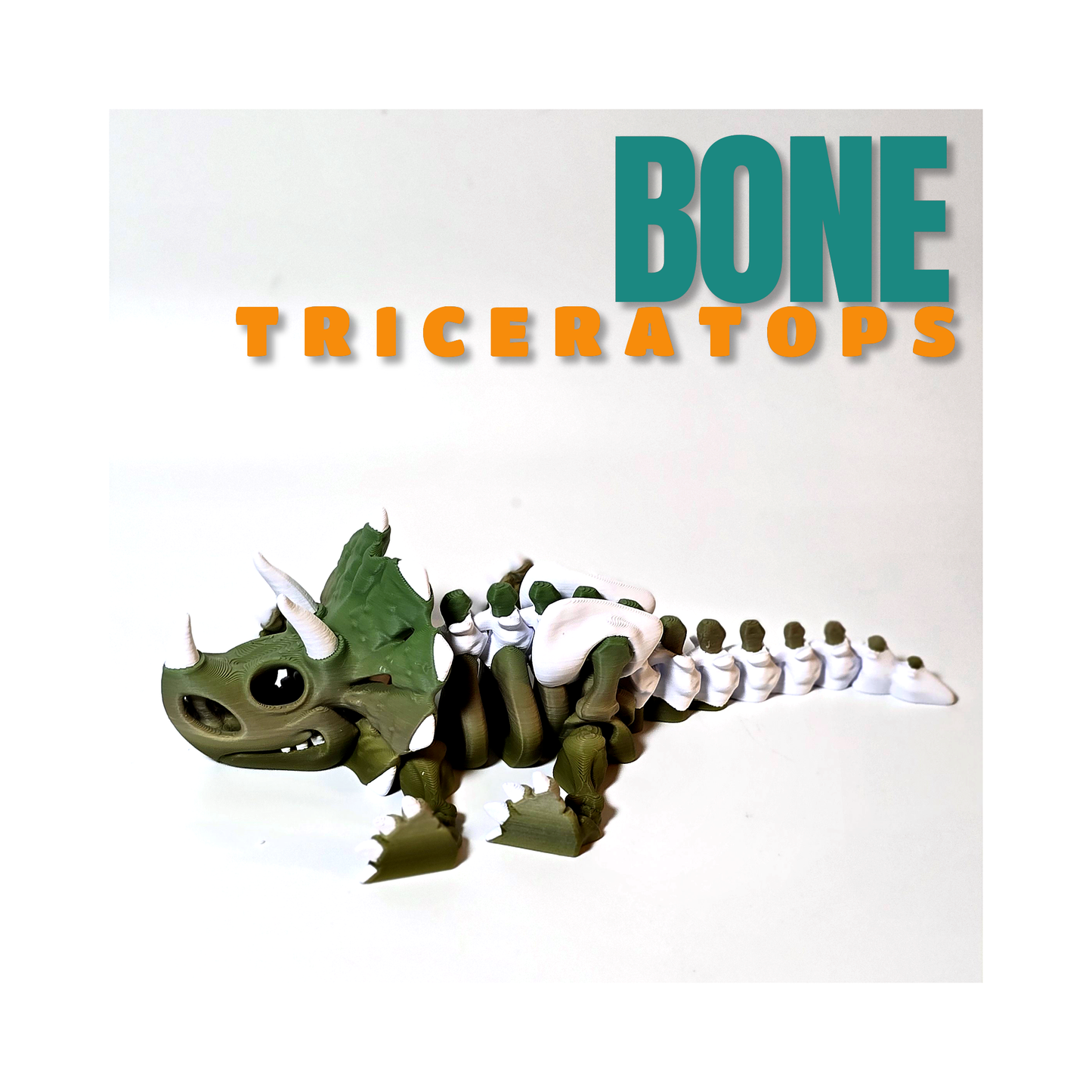 Bone Triceratops