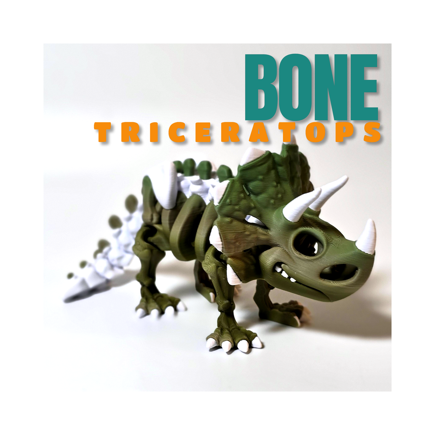 Bone Triceratops