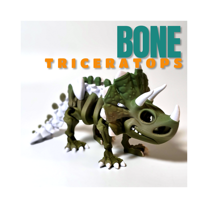Bone Triceratops