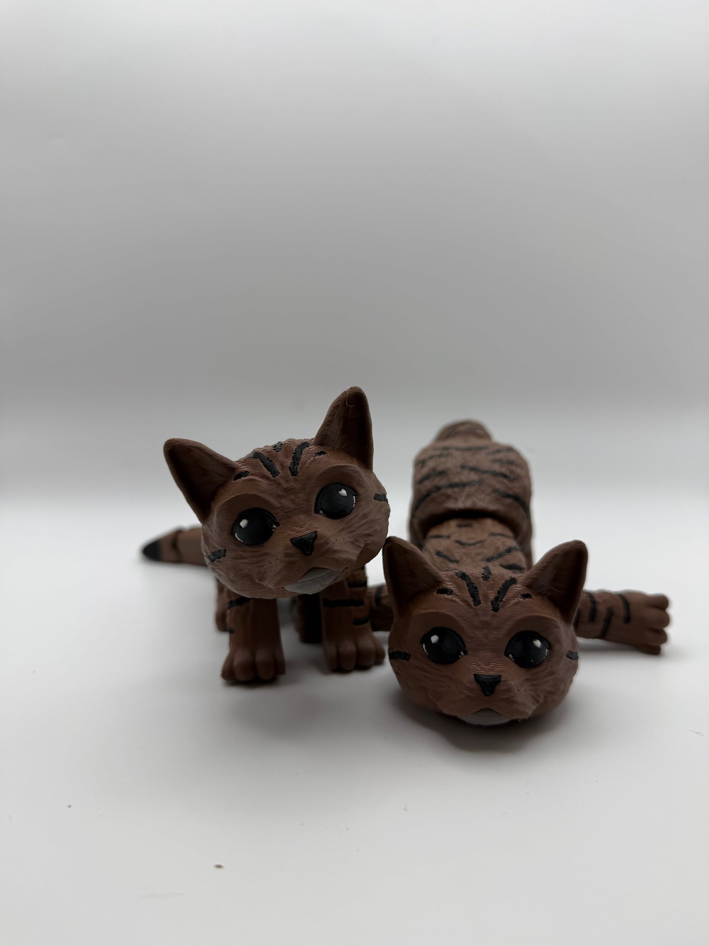 Savannah the cat
