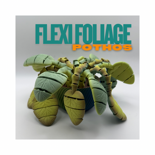 Flexi Foliage: Pothos