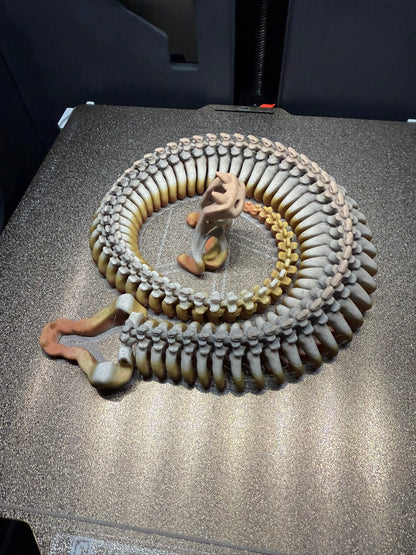 Skeleton Snake