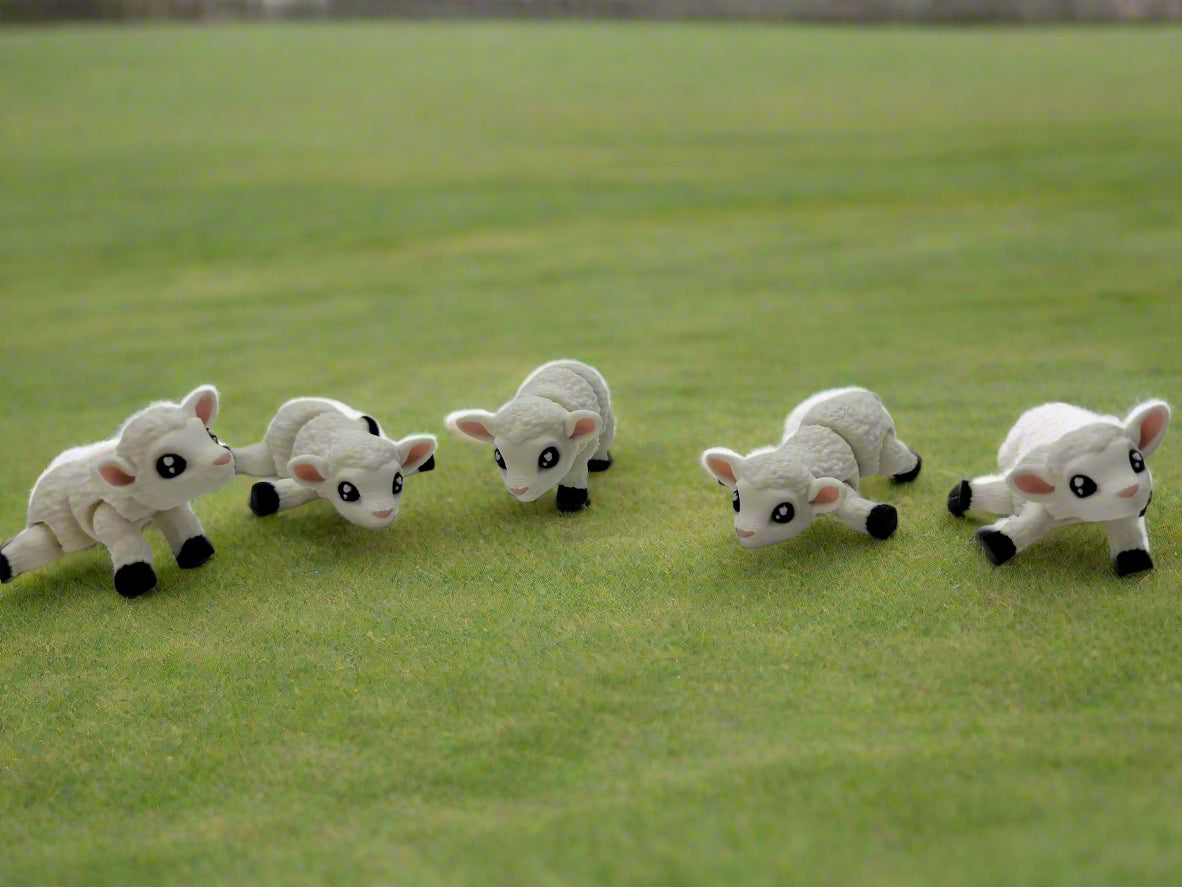 Mini Lamb