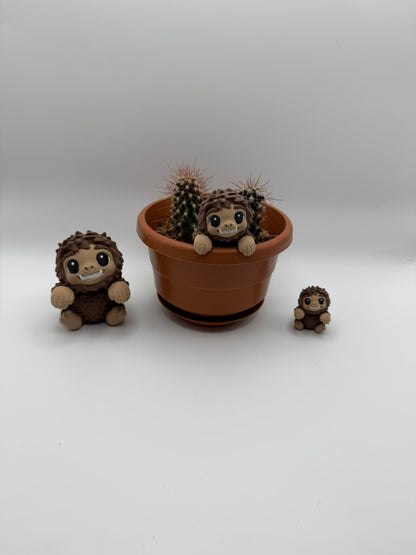 Planty Peekers - Plant Pot Hangers