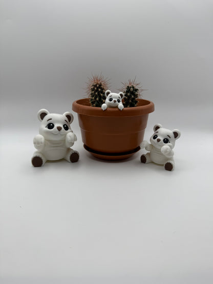 Planty Peekers - Plant Pot Hangers