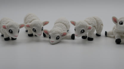 Mini Lamb