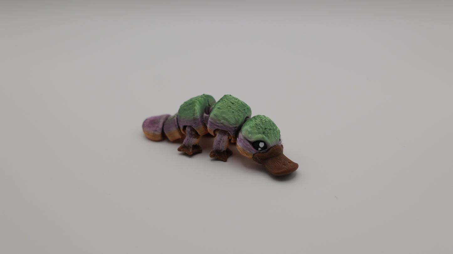Mini Platypus