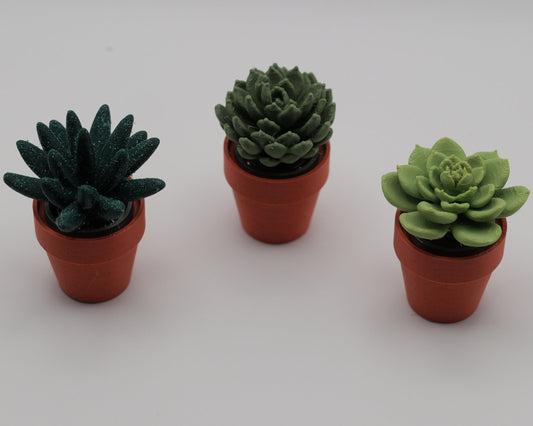 Succulent Spinners